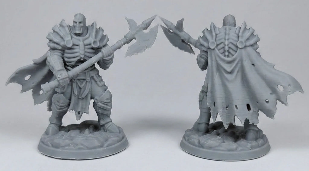 Skeleton Warrior