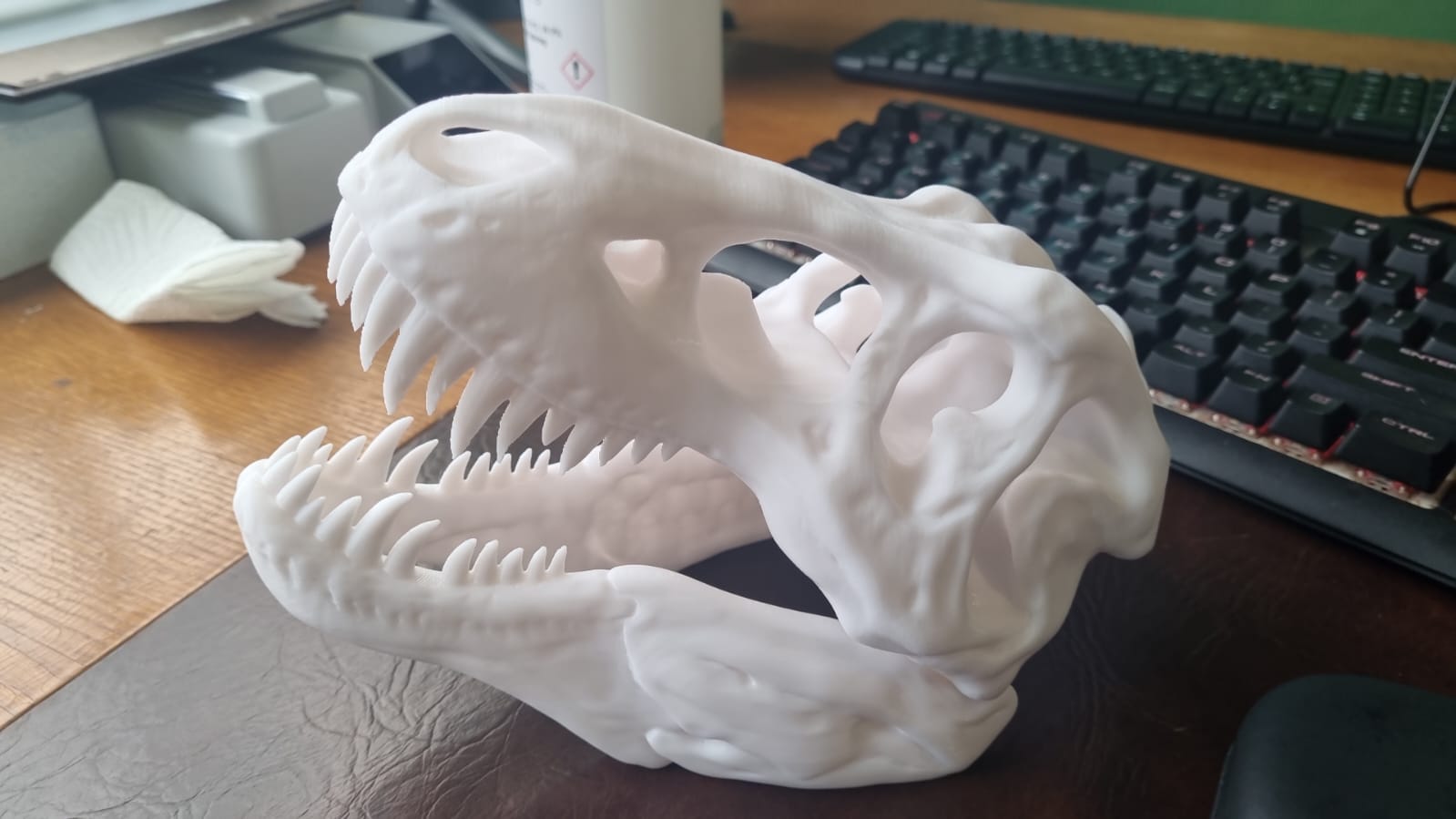 Dino Skull Custom Print